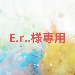 E.r⑅様確認専用専用ページ