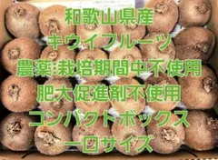 和歌山県産　キウイフルーツ
