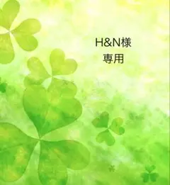 H&N様　専用ページ
