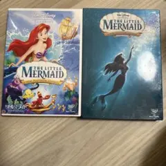 Item thumbnail for item 2b608fb3-cda5-4564-8d59-4a595528b4dc