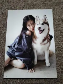 (封入) 山下美月 写真集 ポストカード