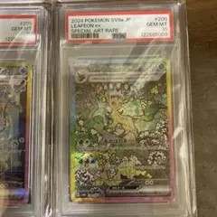 2026年最新】psa10 sar テラスタルフェス リーフィアexの人気アイテム