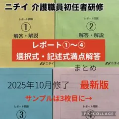 ニチイ 初任者研修　レポート問題①～④の満点解答、記述式まとめ