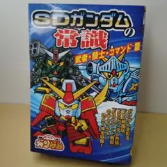 ガンダムウォー 激しき情念 黒 2枚 - メルカリ