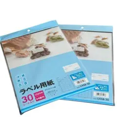エーワン ラベル用紙 30シート入り×2セット L44A-30