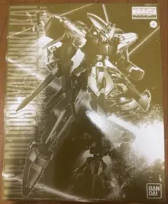 未組立品 プレミアムバンダイ MG 1/100 MSR-00 100S 百式改