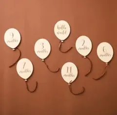 Item thumbnail for item 3d8c6ff6-3fc7-48d1-83a3-e293bbcc71d7