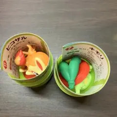 ポケットモンスター チョコエッグ　旅立ちの3匹　キモリ　ヒコザル　2個セット