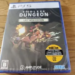 新品 PS5 ENDLESS DUNGEON LAST WISH EDITION