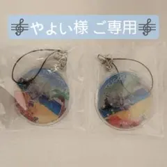 【やよい様ご専用】ウォーターインコレクション ストラップ 楽 2点