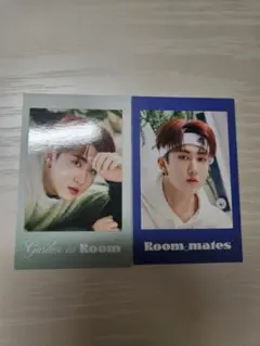 Straykids スキズ チャンビン シーグリ 2022 ポラロイド トレカ