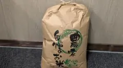 兵庫県丹波産 減農薬コシヒカリ 令和7年産 正味10㎏ - メルカリ