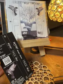 wyse Each individual Color 3枚セット LIVE CD wyse 15th Anniversary Live 2014 Each individual Color 10songs Live