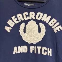 Abercrombie & Fitch ネイビー Tシャツ Ｌ
