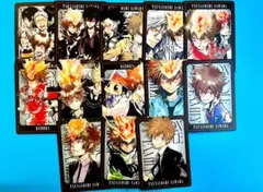 REBORN リボーン ボードゲーム ボドゲ カード 沢田綱吉 13枚 R11