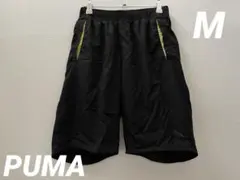 Item thumbnail for item 3658d1f6-9607-4cc1-96fa-fa39ff0a6d6b