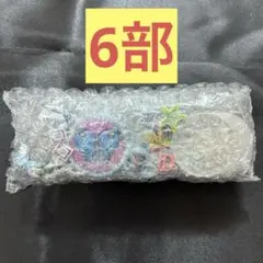 ジョジョ 1番くじ H賞 ロゴコレクション 6部
