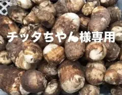 チッタちやん様専用