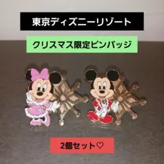 【非売品】ディズニークリスマス ピンバッジ 2個セット アブーズバザール