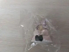 【未開封】サンリオ　マロンクリーム　バレエリボンフィギュア