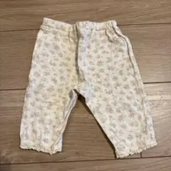 Item thumbnail for item 04283933-f828-4ca6-abeb-37d359df561d