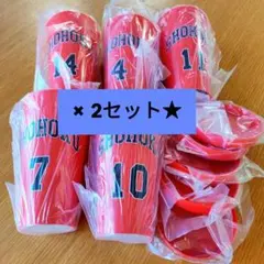 Item thumbnail for item 34c40984-8d75-4a11-a9f5-9e338576c990