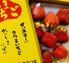 イチゴ農家直送】ジャンボいちご苗 28ポット セット 在庫限り！ - メルカリ