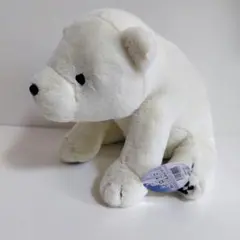 シロクマぬいぐるみwith