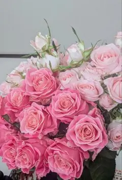 希少✨️バラとスプレーバラ 20本✨️　可愛くボリュームあり