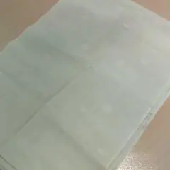 Item thumbnail for item 559a441e-0247-4e6e-89b3-bdc47368e16f