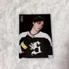 SEVENTEEN HOME ディノ トレカ