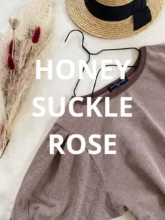 honeysuck rose ブラウン ライトオン パフスリーブ Tシャツのサムネイル