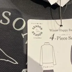 シーズンリーズン