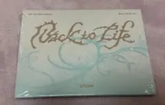 &TEAM Back to Life 新品未開封