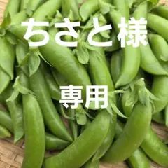 ちさと様専用ページです❣️