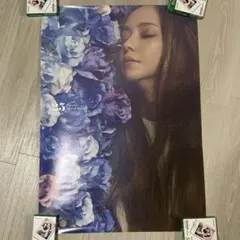 安室奈美恵 ポスター 13枚 B2ポスター GENIC KOSE finally - メルカリ
