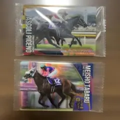 Thoroughbred Horse Collection カード 2枚セット