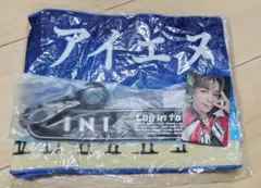 INI 万博記念公園 Survivefes グッズ