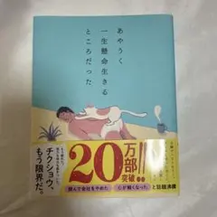 あやうく一生懸命生きるところだった