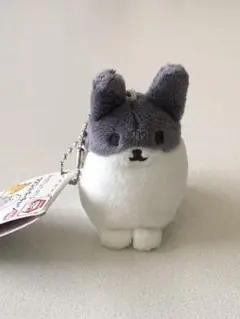 激レア サンエックス もふたんず てのりぬいぐるみ マスコット ロップイヤー 2025年最新】もふたんず サンエックスの人気アイテム - メルカリ