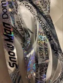 Snow Man Dome Tour 2025-2026 落下物