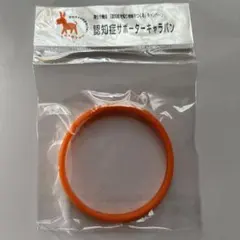 Item thumbnail for item cc8316bb-b5f8-409d-9744-5d3ce9dc3642