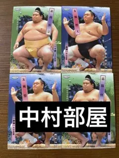 Item thumbnail for item 3852bf46-6810-493d-8b79-37a3e2d9ef63