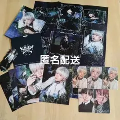 &TEAM HARUA ハルア Back to Life ソロジャケ トレカ