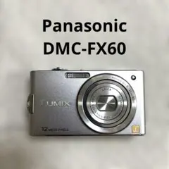動作確認済✨パナソニック LUMIX DMC-FX40 オールドコンデジ - メルカリ