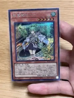 ★早い者勝ち★遊戯王【風霊媒師ウィン】25thSE・ EXSE 3枚セット ☆早い者勝ち☆遊戯王【風霊媒師ウィン】25thSE・ EXSE 3枚セット 未