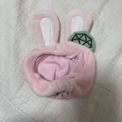 seventeen ボンボンイ　ペンライトカバー　ケース　HARU