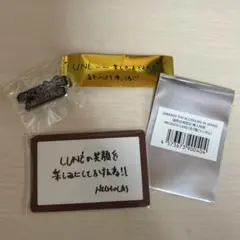 &TEAM 購入特典 ニコラス 福岡 メッセージカード ピンバッジ