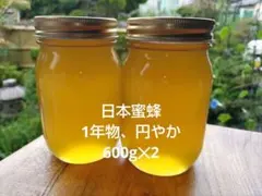 ♥️☆極み◎稀少限定コラボ品『100％純粋春蜜と幻の天然完熟春蜜の