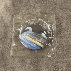 名古屋港水族館 水族館deクルッと寄付 シャチ　リン ハッピーバースデー2025
